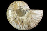 Agatized Ammonite Fossil (Half) - Crystal Chambers #116796-1